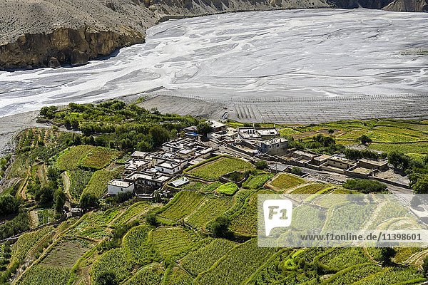 Luftaufnahme des Dorfes Tiri Gompa in Upper Mustang  gelegen auf einer grünen Halbinsel im Kali Gandaki Tal  Tiri  Mustang Distrikt  Nepal  Asien