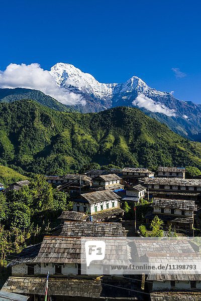 Blick auf das historische Dorf mit den Bergen Annapurna South  links  und Himchuli  rechts  Ghandruk  Kaski District  Nepal  Asien
