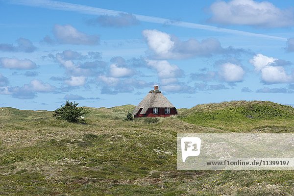 Rotes Holzhaus mit Reetdach  Ostseedünen  Nørre Nebel  Jütland  Dänemark  Europa