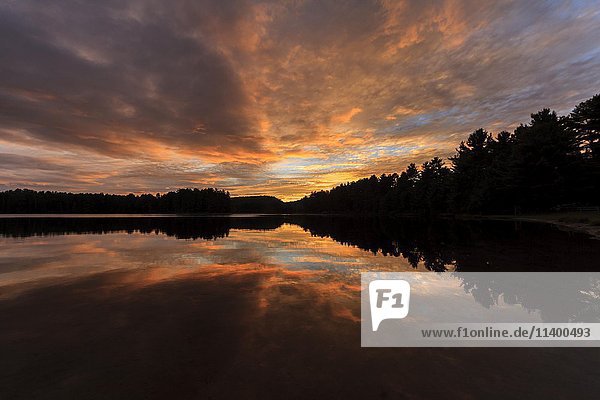 Sonnenuntergang am Mew Lake  Algonquin Provincial Park  Provinz Ontario  Kanada  Nordamerika