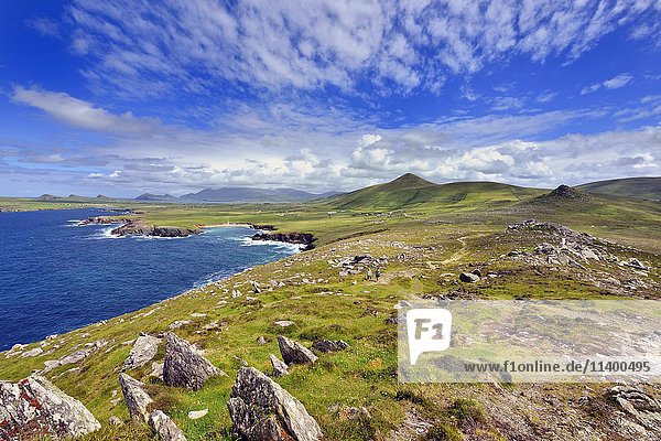 Irische Küste  Waymont  Dingle-Halbinsel  County Kerry  Irland  Europa