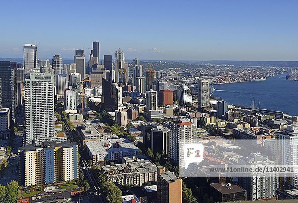 Skyline mit Elliott Bay  Seattle  Washington  USA  Nordamerika