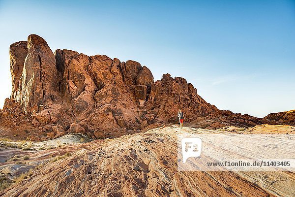 Junger Mann beim Wandern  rote Felsformationen  Sandstein  Tal des Feuers  Mojave-Wüste  Nevada  USA  Nordamerika