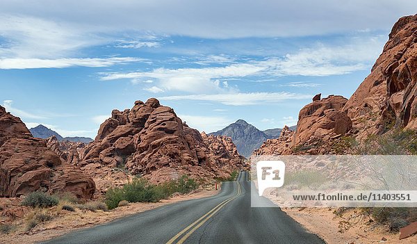 Straße zwischen roten Sandsteinformationen  Tal des Feuers  Mojave-Wüste  Nevada  USA  Nordamerika