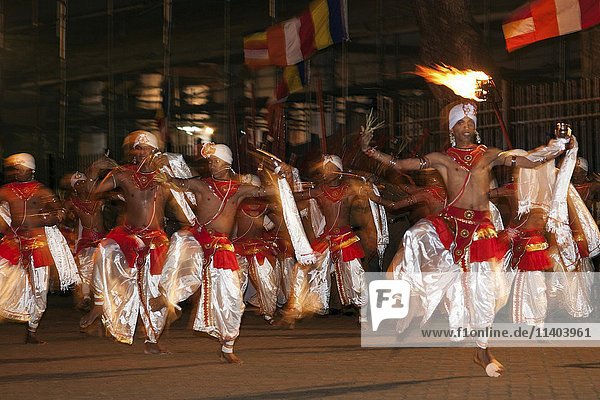 Dance troupe  Kandy Dancers in traditional costumes  Esala Perahera Buddhist festival  Kandy  Central Province  Sri Lanka  Asia