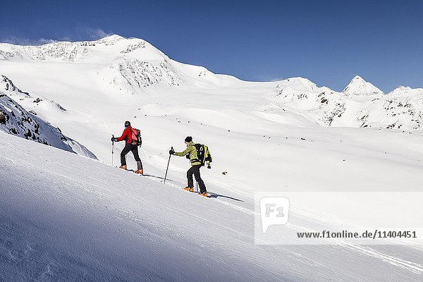 Ski mountaineers at ascent to Köllkuppe  Cima Marmotta  in snow  Alps  Martell  Vinschgau  South Tyrol  Italy  Europe