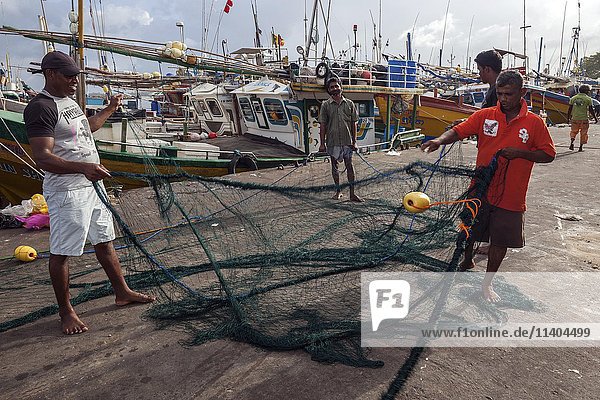 Einheimische Männer entwirren Fischernetze im Hafen  Beruwela  Westliche Provinz  Sri Lanka  Asien