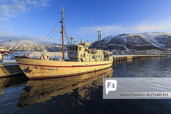 Former rescue boat  now sightseeing boat Olav Ringdal  Tromso  Troms  Norway  Europe