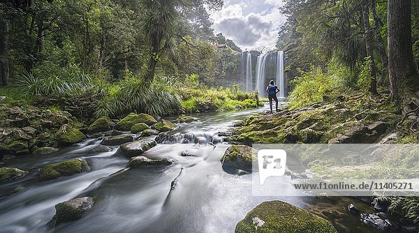 Wanderer vor dem Whangarei-Wasserfall  gemäßigter Regenwald  Whangarei  Northland  Nordinsel  Neuseeland  Ozeanien