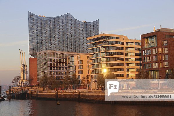 Blick auf Elbphilharmonie und moderne Wohnhäuser  Hafencity  Hamburg  Deutschland  Europa