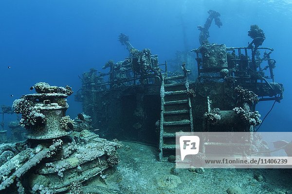 Deck of shipwreck  Russian wreck MS Khanka  former spy ship or communications ship  Zabargad Island  Red Sea  Egypt  Africa
