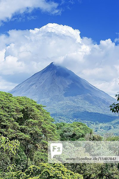 Vulkan Arenal hinter tropischem Wald  La Fortuna  Costa Rica  Mittelamerika