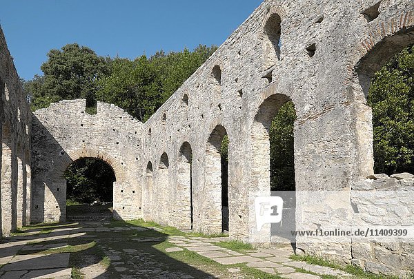 Große byzantinische Basilika  Ruinen von Butrint  Vlora  Albanien  Europa