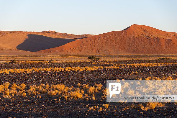 Sand dunes  Sossusvlei  Namib-Naukluft National Park  Namib Desert  Namibia  Africa