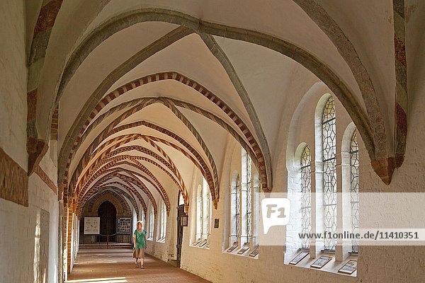 Kreuzgang  Domkloster  Ratzeburg  Schleswig-Holstein  Deutschland  Europa