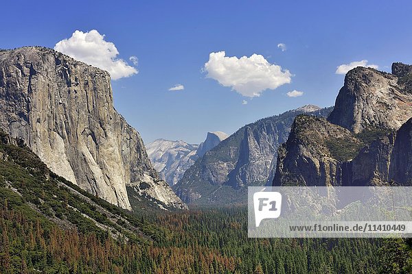 Blick auf das Yosemite-Tal  Granitfelsen  El Capitan  Half Dome  Berge  Yosemite-Nationalpark  Kalifornien  USA  Nordamerika