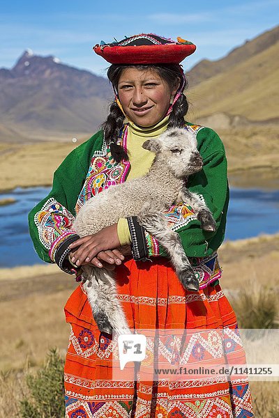 Einheimische Frau hält Lamm  See Langui Layo  Cusco  Peru  Südamerika
