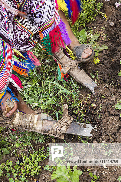 Bauer pflügt den Boden für die Bepflanzung mit traditionellem Werkzeug  Gemeinde Amaru außerhalb von Urubamba; Cusco  Peru'.