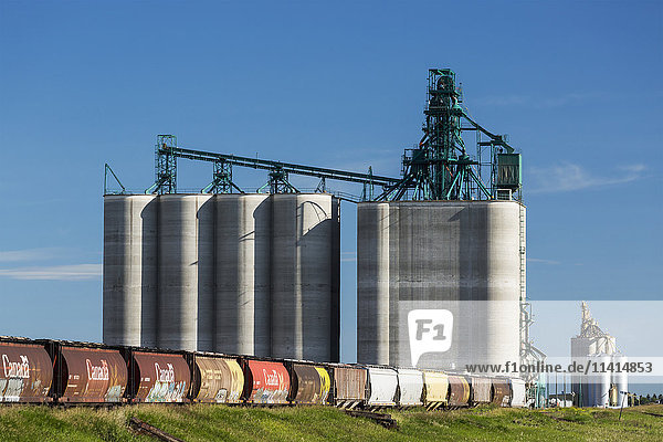 Großer Getreidesilo aus Beton mit Getreidewagen im Vordergrund und blauem Himmel  südlich von Calgary; Alberta  Kanada '