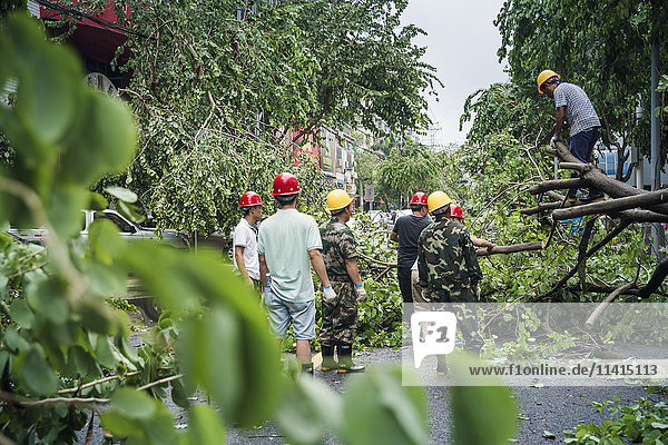'A few hours after super typhoon Merapi passed through Xiamen it generated mass damage throughout the city; Xiamen Fujian province China'