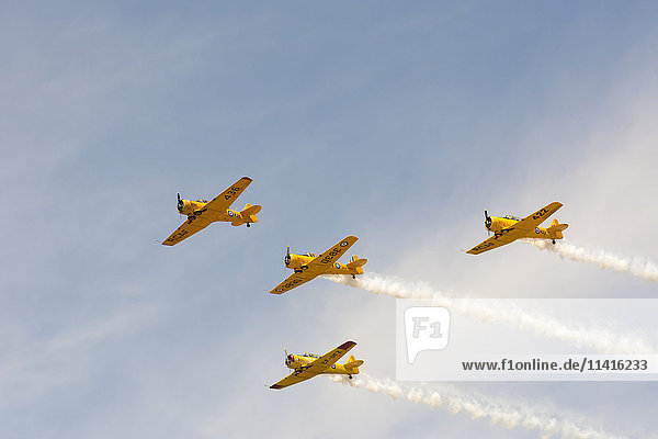 'A formation of four yellow Harvard WWII aircraft flying overhead; Edmonton  Alberta  Canada'