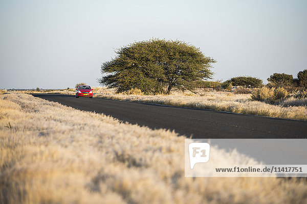 'A perspective view of a modern asphalt road with red car riding across Namibian dry grass fields; Namibia'