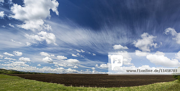 Dunkles Erdfeld mit grünen Hügeln im Hintergrund und dramatischen Wolken mit blauem Himmel  westlich von Calgary; Alberta  Kanada