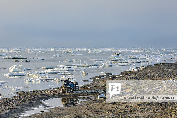 Two native Alaskan men drive an ATV down a sand beach along the Arctic Ocean filled with sea ice in summer  North Slope  Arctic Alaska  USA