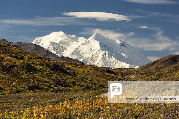 'Denali (formerly Mount McKinley) looms large in the distance in autumn  Denali National Park and Preserve  interior Alaska; Alaska  United States of America'