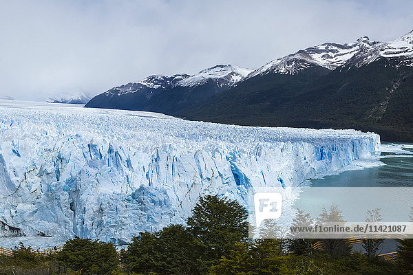 'Perito Moreno Glacier in Los Glaciares National Park  Argentine Patagonia; El Calafate  Santa Cruz Province  Argentina'