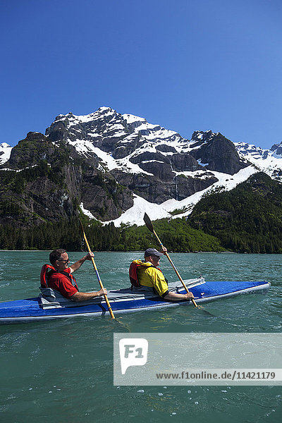 Two middle-aged men kayak in Thumb Cove with Spruce Glacier hanging in the background  Thumb Cove State Marine Park  Kenai Peninsula  Southcentral Alaska  USA