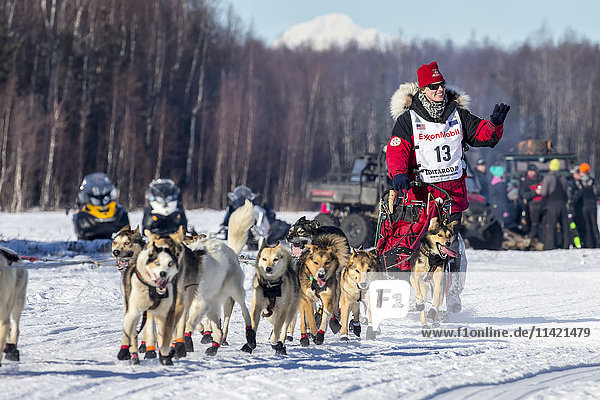 Aliy Zirkle runs on Long Lake with Denali in the background during the Restart of the 2016 Iditarod in Willow  Alaska.