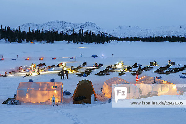 Während des Iditarod 2016 kommen die Teams morgens am Finger Lake Checkpoint in der Winterlake Lodge an und schlagen ihr Lager auf.