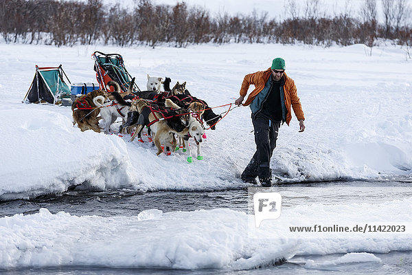 Kelly Maixner walks his dogs across the open water of the Happy River in Ptarmigan Valley on the way to Rohn from the Rainy Pass checkpoint during Iditarod 2016  Alaska.