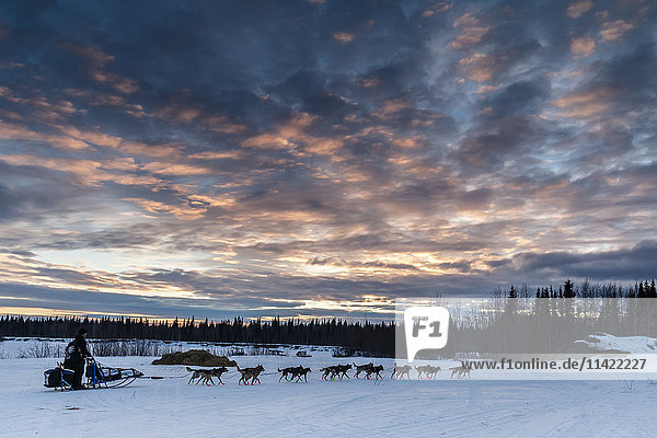 Jason Campeau verlässt den Kontrollpunkt Nikolai bei Sonnenuntergang während des Iditarod 2016 in Alaska.