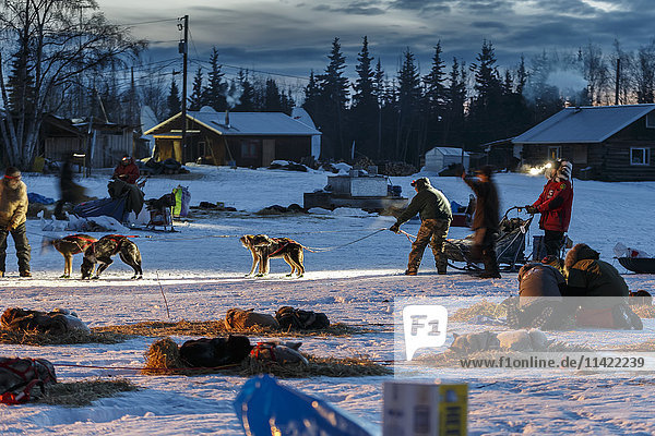 Freiwillige Kontrolleure helfen dem Team von Tom Jamgochian beim morgendlichen Einparken am Kontrollpunkt Nikolai während des Iditarod 2016 in Alaska.
