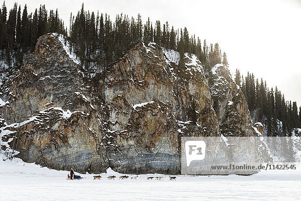 Michelle Phillips and team run along the rock cliffs shortly after leaving the Ruby Checkpoint during the 2016 Iditarod  Alaska