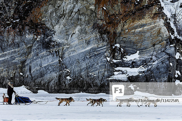 Michelle Phillips und ihr Team laufen entlang der Felsklippen  kurz nachdem sie den Ruby Checkpoint während des Iditarod 2016 in Alaska verlassen haben.