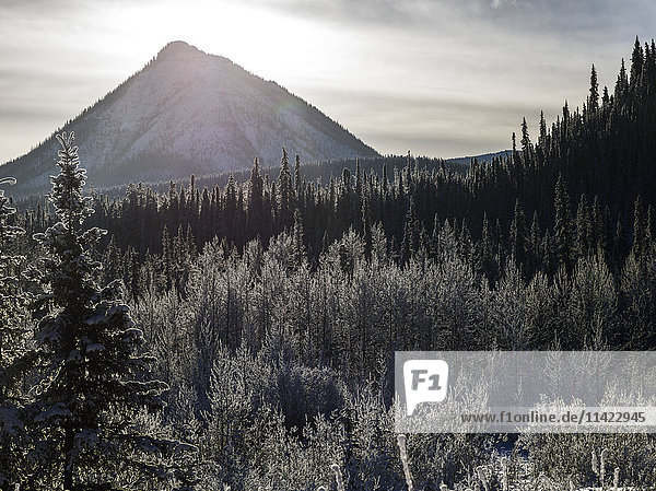 'A peaked mountain under sunlight with forest in the foreground; British Columbia  Canada'