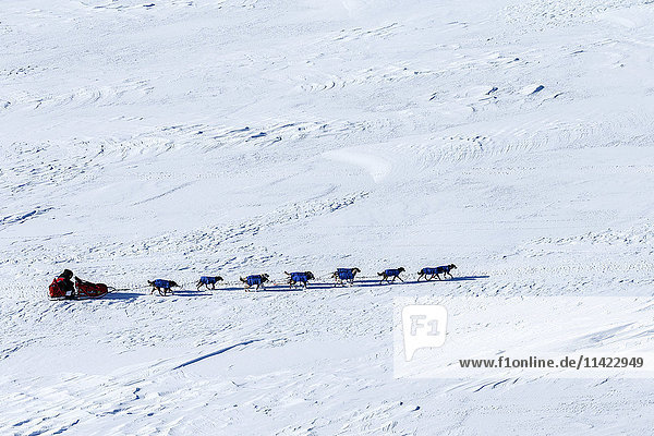 Aerial of Mitch Seavey as he hunkers down behind his sled to avoid the strong wind as he crosses Norton Sound on the trail to the Koyuk checkpoint during the 2016 Iditarod  Alaska