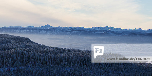 Schneebedeckte Landschaft der zerklüfteten kanadischen Rocky Mountains und ein Wald im Winter; British Columbia  Kanada