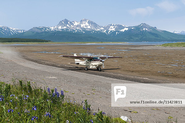 Buschflugzeug am Strand von Hallo Bay  Katmai National Park  Südwest-Alaska  USA