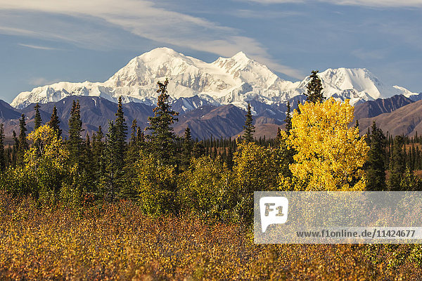 Denali  gesehen von südlich von Cantwell  vom Parks Highway in Interior Alaska; Alaska  Vereinigte Staaten von Amerika'.