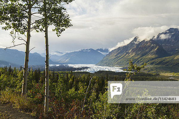 Matanuska-Gletscher  gesehen vom Glenn Highway in der Nähe von Sheep Mountain; Alaska  Vereinigte Staaten von Amerika'.
