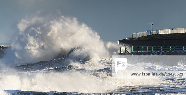 Eine große Welle bricht und kracht gegen das Ufer; Sunderland  Tyne and Wear  England'.