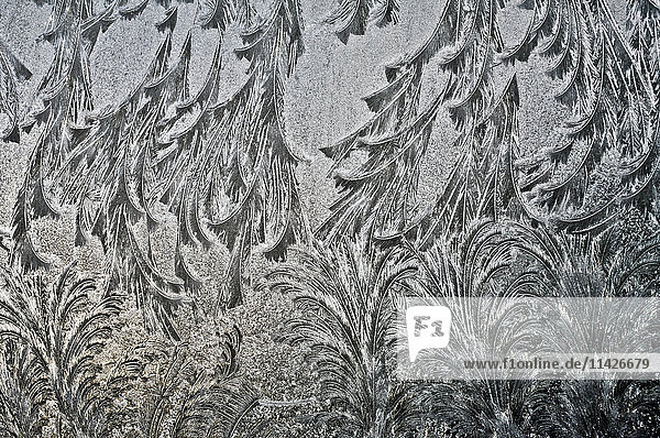 Frost auf einer Windschutzscheibe  Südost-Alaska; Alaska  Vereinigte Staaten von Amerika'.
