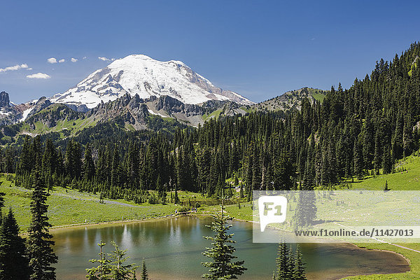 'A view of Mount Rainier above Tipsoo Lake  near the top of Chinook Pass on Highway 410 in the Cascade Mountains; Washington  United States of America'