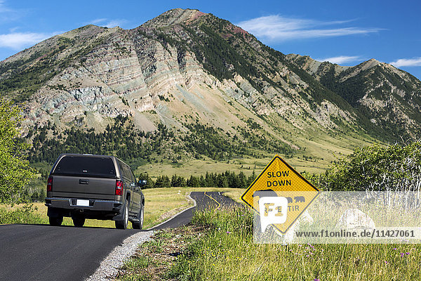 'Cautionary road sign of bear crossing on a windy mountain road with vehicle on roadway  with mountains and blue sky; Waterton  Alberta  Canada'