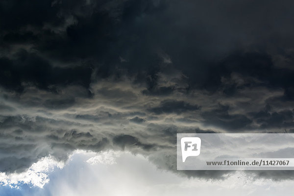 Dramatische dunkle Gewitterwolkenfront mit Regen; Calgary  Alberta  Kanada'.