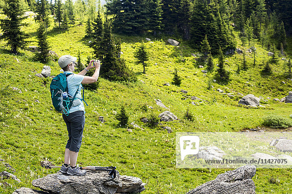 Wanderin  die auf einem großen Felsen steht und mit ihrem Handy ein Foto von einer Bergwiese macht; Banff  Alberta  Kanada